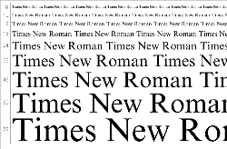 Times New Roman    
